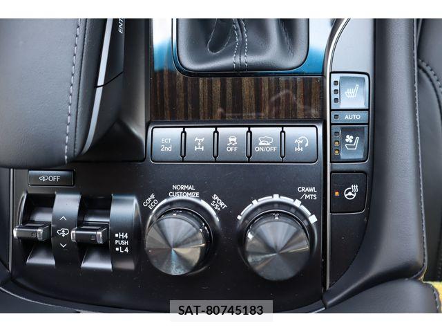 Lexus LX 2020-01 8131018-16