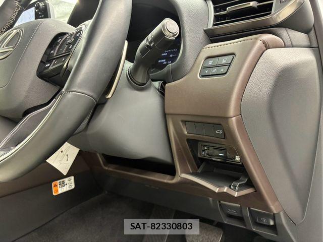 Lexus LX 2025-07 8208398-21