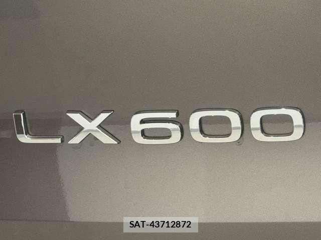 Lexus LX 2024-09 8562453-13