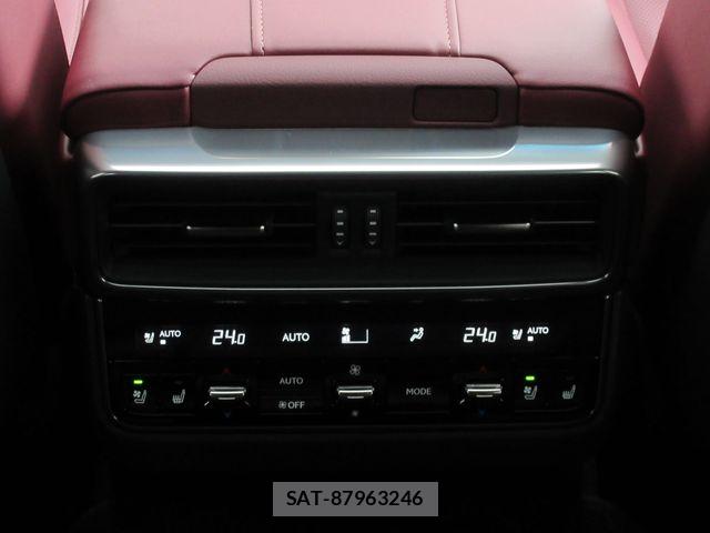 Lexus LX 2024-12 8780860-16