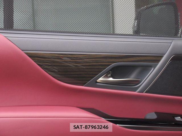 Lexus LX 2024-12 8780860-19