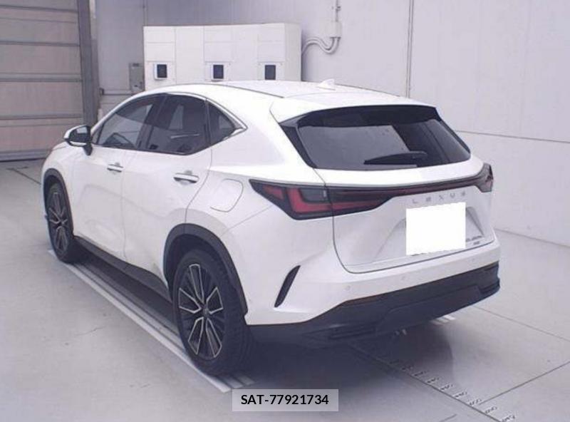 Lexus NX 2023-11 7583922-1
