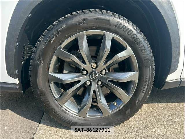 Lexus NX 2016-04 3674706-11