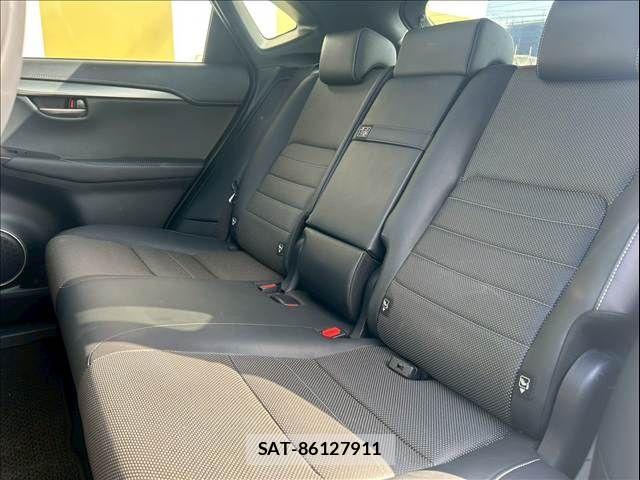 Lexus NX 2016-04 3674706-15