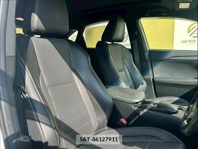Lexus NX 2016-04 3674706-16