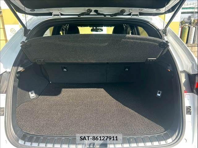 Lexus NX 2016-04 3674706-18