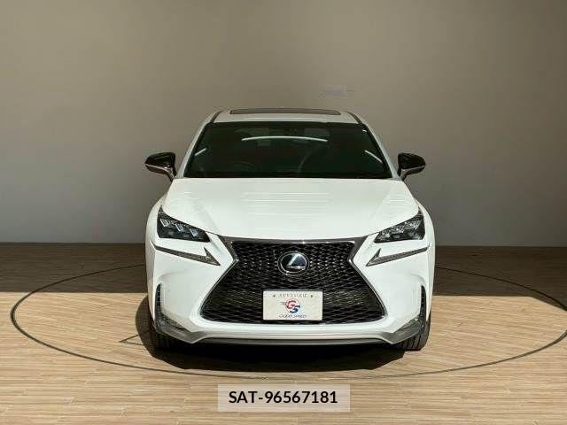 Lexus NX 2016-11 3907163-13