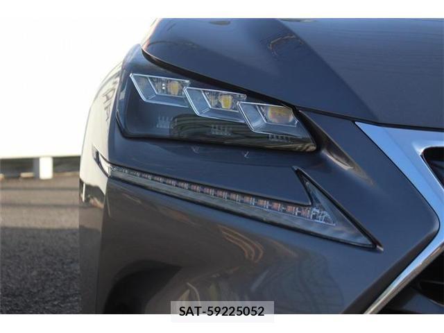 Lexus NX 2016-11 4044667-15
