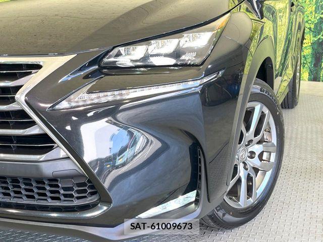 Lexus NX 2017-04 5870991-11