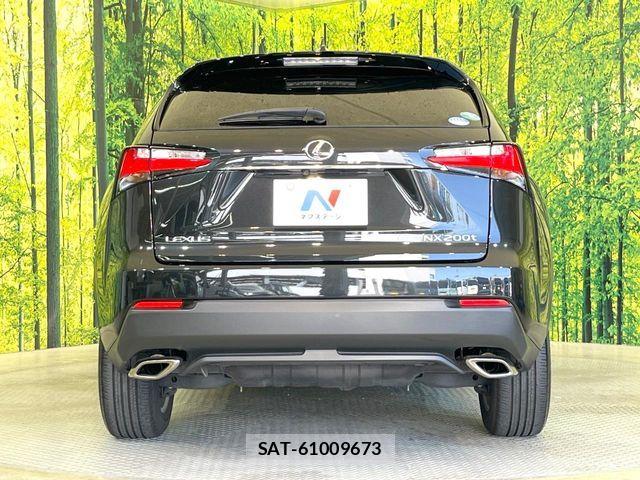Lexus NX 2017-04 5870991-14