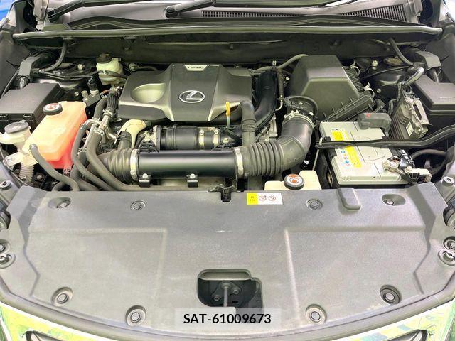 Lexus NX 2017-04 5870991-17