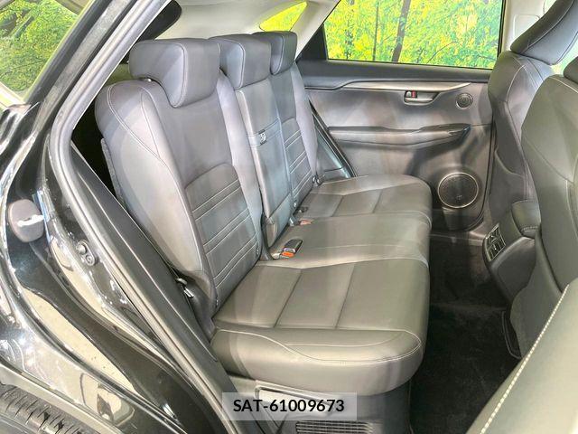 Lexus NX 2017-04 5870991-8