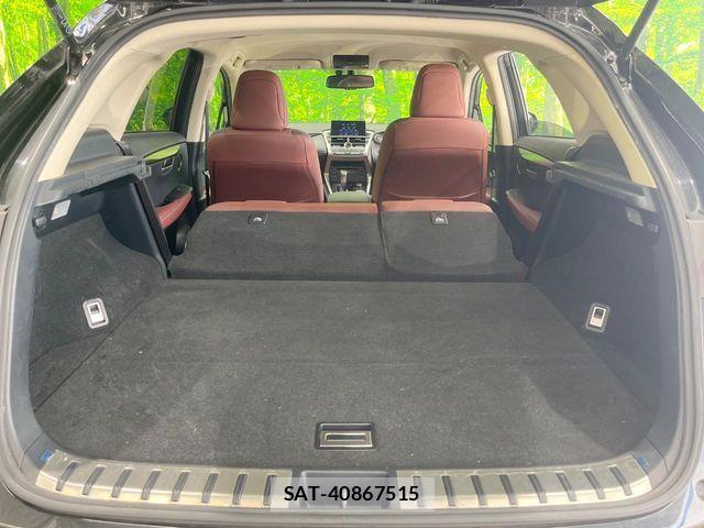 Lexus NX 2017-09 6216405-9
