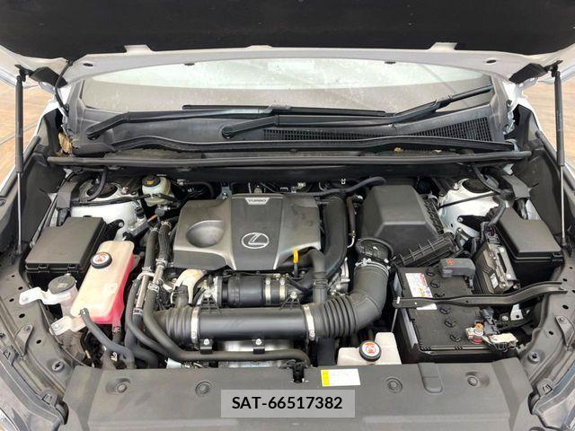 Lexus NX 2016-05 6499553-17