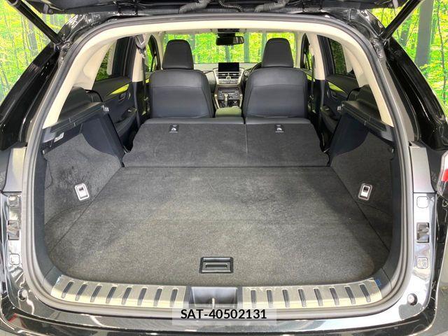 Lexus NX 2016-04 6641847-9