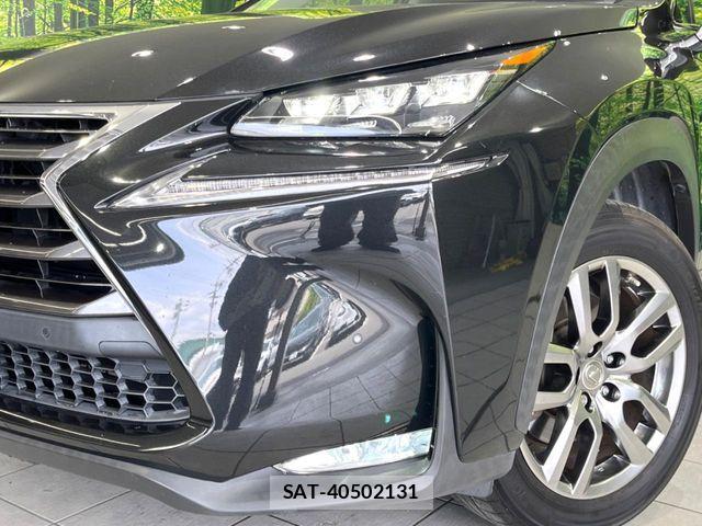 Lexus NX 2016-04 6641847-11