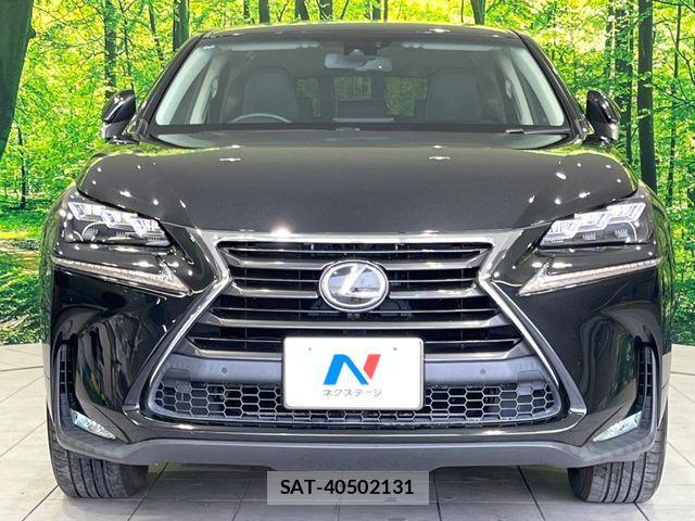 Lexus NX 2016-04 6641847-13