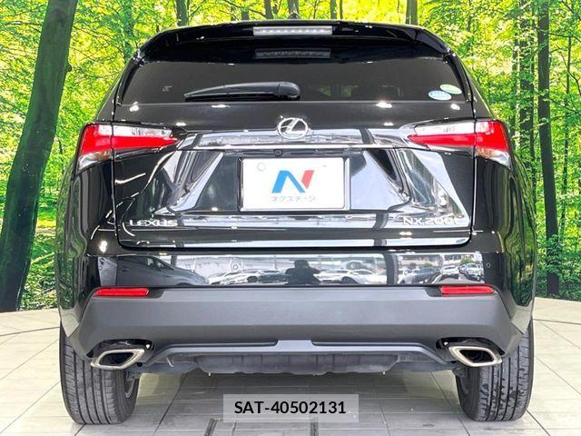 Lexus NX 2016-04 6641847-14