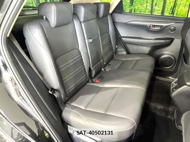 Lexus NX 2016-04 6641847-8