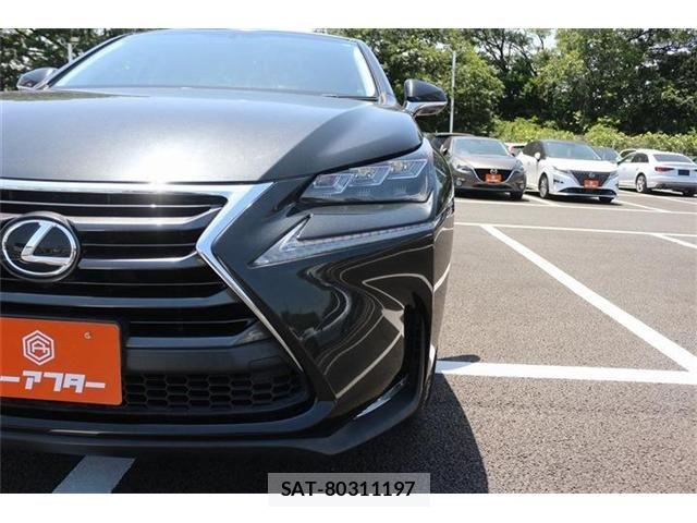 Lexus NX 2015-10 6995108-14