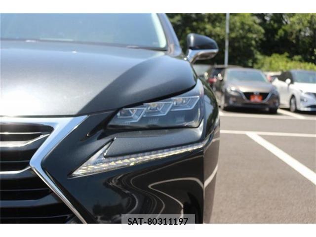 Lexus NX 2015-10 6995108-15