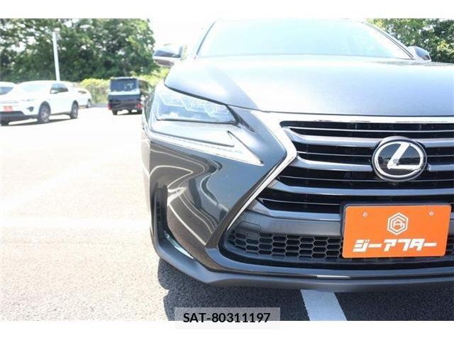 Lexus NX 2015-10 6995108-17