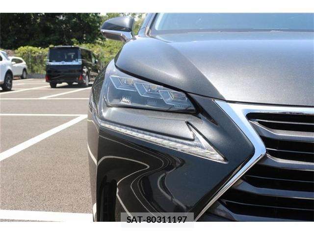 Lexus NX 2015-10 6995108-18