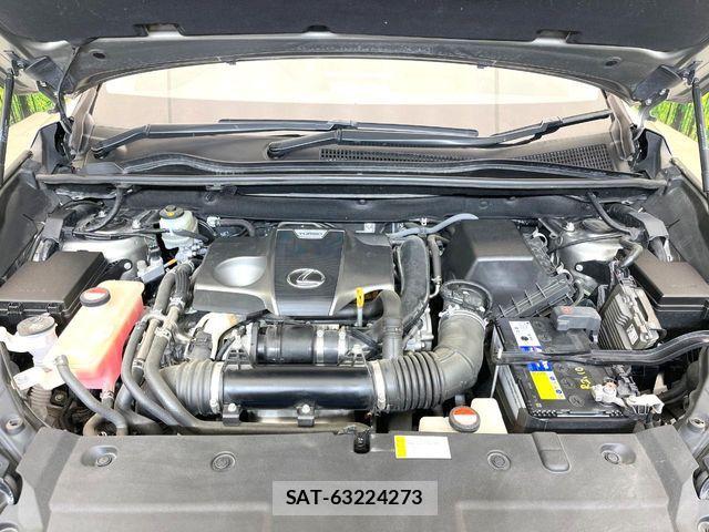 Lexus NX 2015-07 7020775-17
