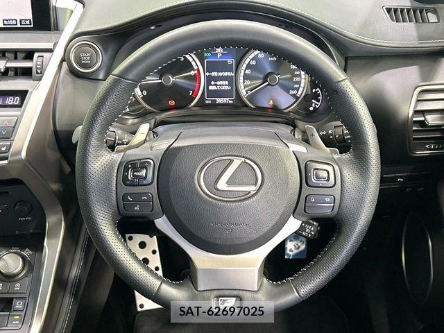 Lexus NX 2015-06 7059269-10