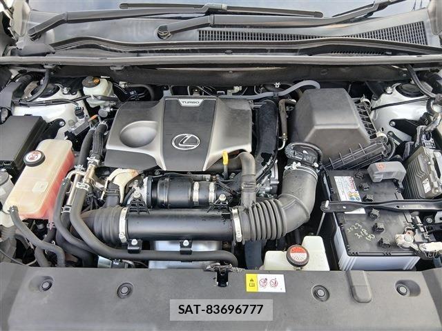 Lexus NX 2015-09 7221001-19