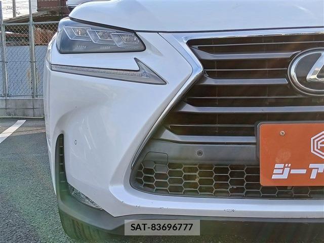 Lexus NX 2015-09 7221001-24