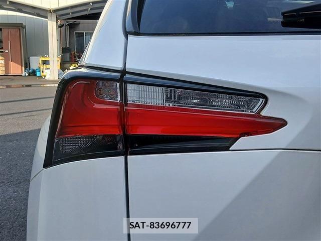 Lexus NX 2015-09 7221001-27