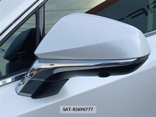Lexus NX 2015-09 7221001-29