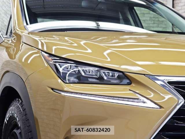 Lexus NX 2016-12 7221007-11