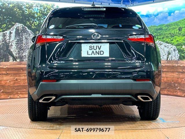 Lexus NX 2017-03 7251329-13