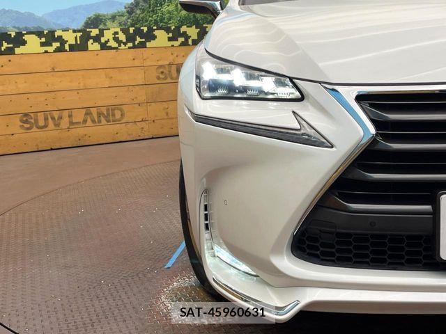 Lexus NX 2015-08 7328048-11