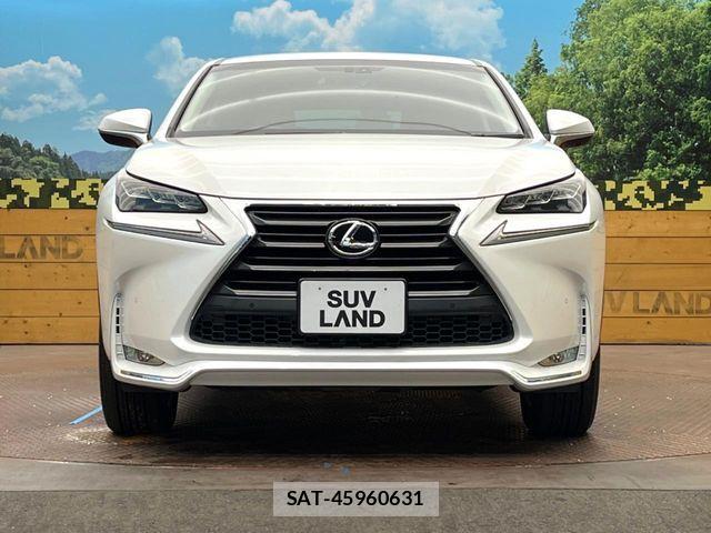 Lexus NX 2015-08 7328048-13