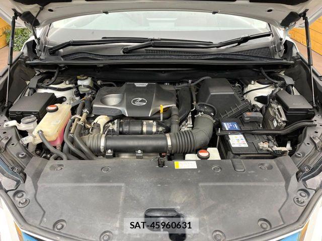 Lexus NX 2015-08 7328048-17
