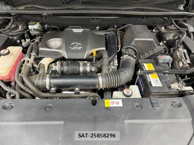 Lexus NX 2016-07 7358508-17