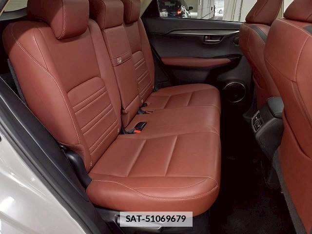 Lexus NX 2017-03 7725093-10