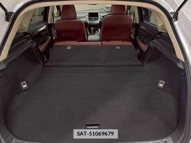 Lexus NX 2017-03 7725093-11