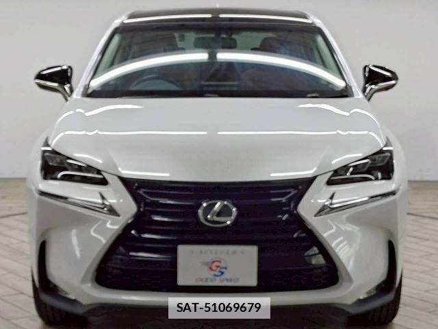 Lexus NX 2017-03 7725093-15