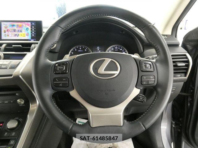 Lexus NX 2014-07 7877391-22