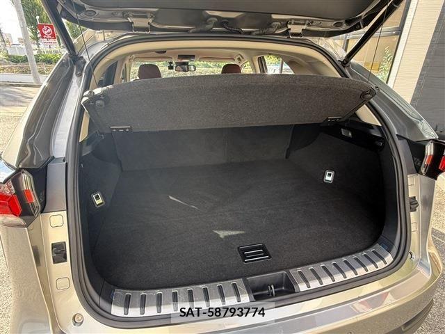 Lexus NX 2015-07 7877384-10
