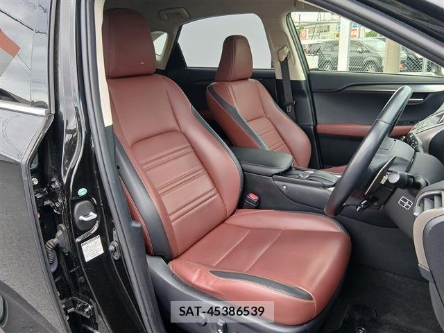 Lexus NX 2014-12 7877390-14