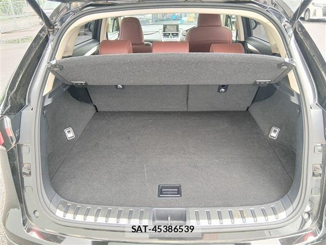 Lexus NX 2014-12 7877390-18