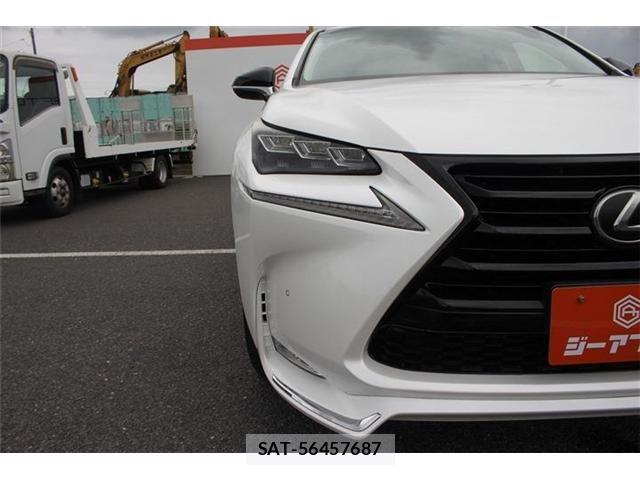 Lexus NX 2017-02 7962418-23