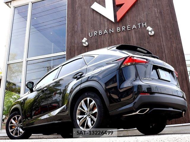 Lexus NX 2015-11 7979771-10