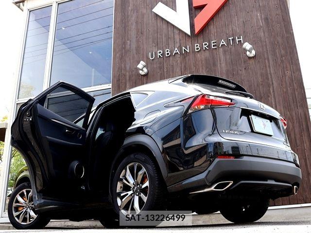 Lexus NX 2015-11 7979771-11