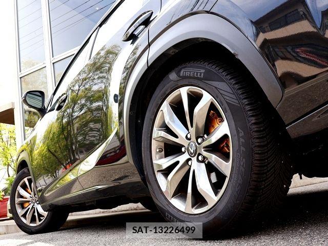 Lexus NX 2015-11 7979771-12